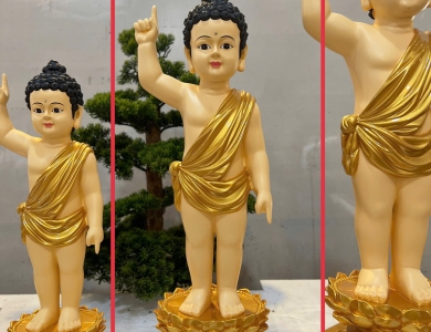 TƯỢNG PHẬT ĐẢN SANH 50
