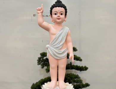 TƯỢNG PHẬT ĐẢN SANH 50