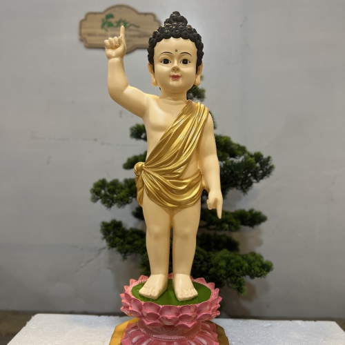 TƯỢNG PHẬT ĐẢN SANH 50
