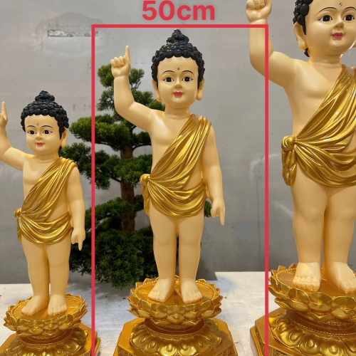 TƯỢNG PHẬT ĐẢN SANH 50