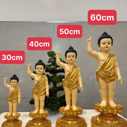 TƯỢNG PHẬT ĐẢN SANH 50
