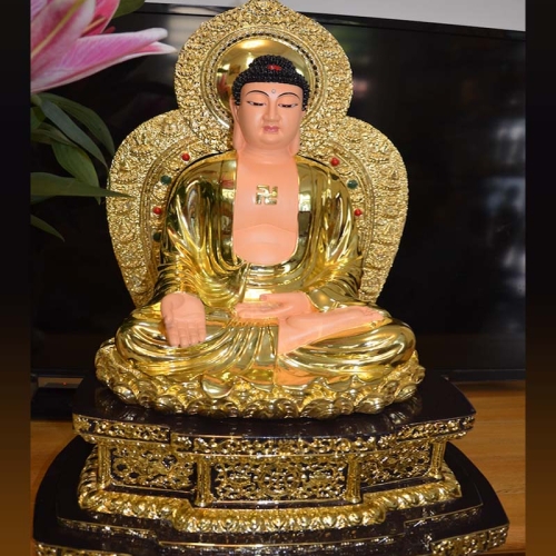 Dược Sư Ngồi 50